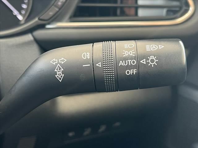 ＣＸ－３０ ２０Ｓ　プロアクティブ　ツーリングセレクション　禁煙　純ナビ　３６０度モニター　スマートブレーキサポート　ＥＴＣ　ＢＳＭ　地デジ　ＤＶＤ　ＢＴオーディオ　ステアリングヒータ　ステリモ　シートヒーター　メモリー付きパワーシート　ＬＥＤ　電子パーキング（29枚目）