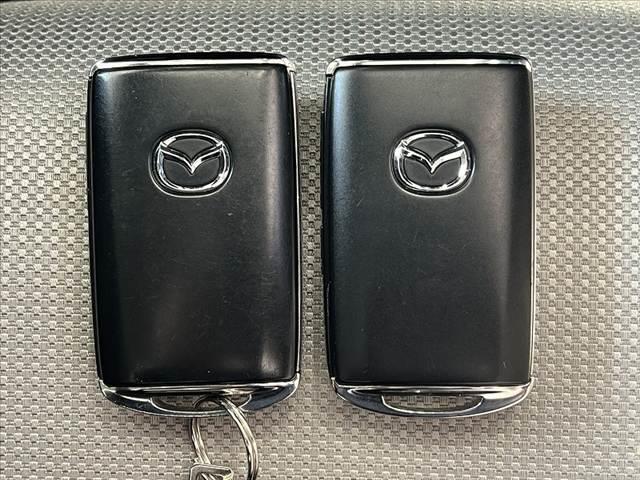 ＣＸ－３０ ２０Ｓ　プロアクティブ　ツーリングセレクション　禁煙　純ナビ　３６０度モニター　スマートブレーキサポート　ＥＴＣ　ＢＳＭ　地デジ　ＤＶＤ　ＢＴオーディオ　ステアリングヒータ　ステリモ　シートヒーター　メモリー付きパワーシート　ＬＥＤ　電子パーキング（35枚目）