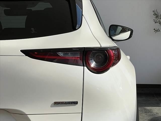 ＣＸ－３０ ２０Ｓ　プロアクティブ　ツーリングセレクション　禁煙　純ナビ　３６０度モニター　スマートブレーキサポート　ＥＴＣ　ＢＳＭ　地デジ　ＤＶＤ　ＢＴオーディオ　ステアリングヒータ　ステリモ　シートヒーター　メモリー付きパワーシート　ＬＥＤ　電子パーキング（41枚目）