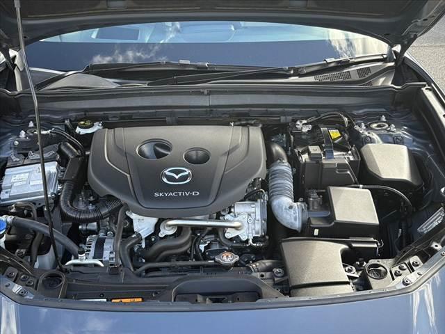 CX-30 XD プロアクティブ ツーリングセレクション ★ユーザー買取車★360°モニター★マツダコネクトナビ★スマートブレーキサポート★パワーバックドア★レーダークルーズコントロール★LEDヘッド★スマートキー★パワーシート★シートヒーター★ETC(20枚目)