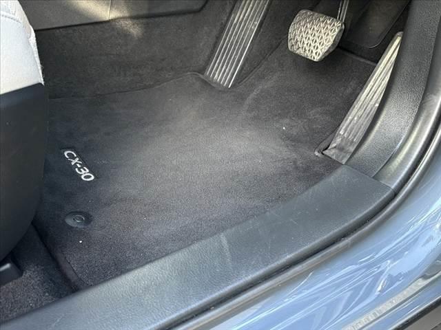 CX-30 XD プロアクティブ ツーリングセレクション ★ユーザー買取車★360°モニター★マツダコネクトナビ★スマートブレーキサポート★パワーバックドア★レーダークルーズコントロール★LEDヘッド★スマートキー★パワーシート★シートヒーター★ETC(37枚目)