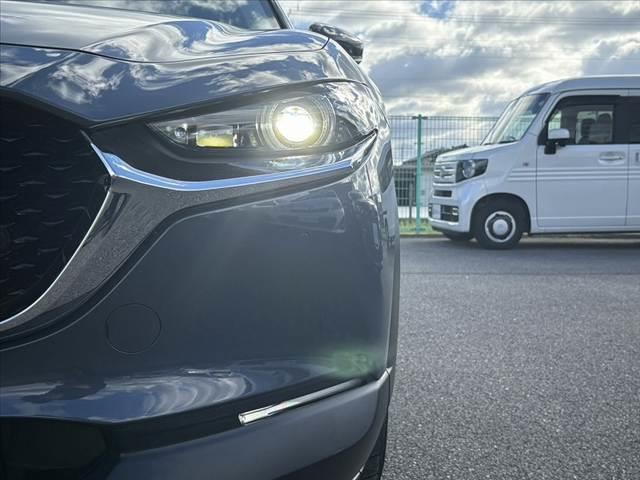 CX-30 XD プロアクティブ ツーリングセレクション ★ユーザー買取車★360°モニター★マツダコネクトナビ★スマートブレーキサポート★パワーバックドア★レーダークルーズコントロール★LEDヘッド★スマートキー★パワーシート★シートヒーター★ETC(45枚目)