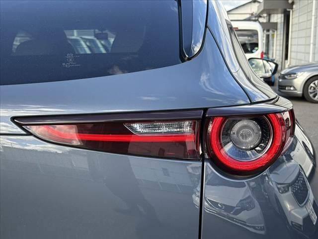CX-30 XD プロアクティブ ツーリングセレクション ★ユーザー買取車★360°モニター★マツダコネクトナビ★スマートブレーキサポート★パワーバックドア★レーダークルーズコントロール★LEDヘッド★スマートキー★パワーシート★シートヒーター★ETC(46枚目)