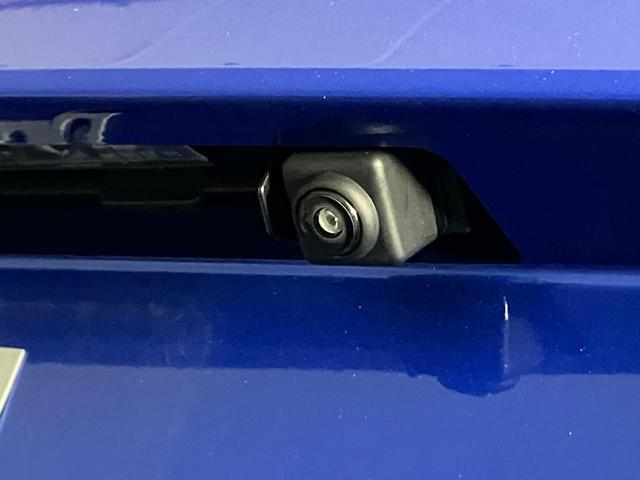 GT-R ピュアエディション(32枚目)