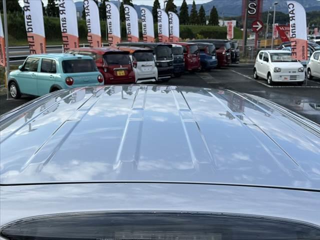 セレナ ２０Ｓ　後期　ＳＤナビ／地デジ　クルーズコントロール　電格ミラー　両側スライドドア　オートライト　ミラーウインカー　横滑り防止装置　ロールサンシェード　セキュリティアラーム　シートリフター　フロアマット（48枚目）