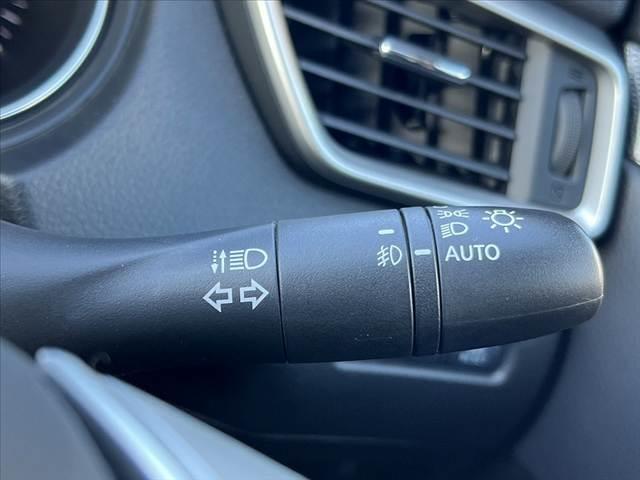 エクストレイル ２０Ｘ　エマージェンシーブレーキパッケージ　パノラミックガラスルーフ　純正８インチナビ／フルセグ／ＤＶＤ／ＢＴ　ＬＥＤヘッドライト　ルーフレール　エマブレ　Ａライト　インテリキー　Ｐスタート　ＥＴＣ　シートヒーター　Ａストップ　シートリフター（34枚目）