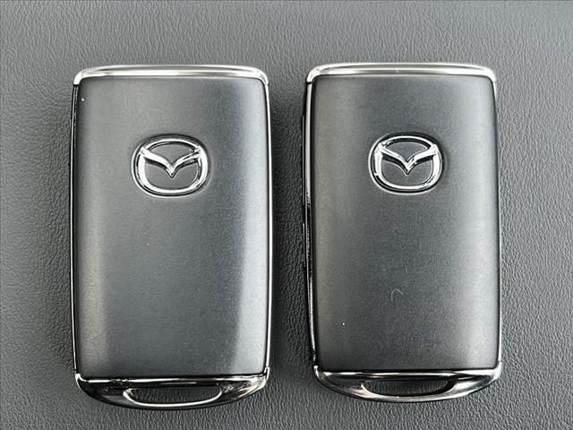 ＣＸ－６０ ２５Ｓ　Ｌパッケージ　車検整備付　パノラマルーフ　ＢＯＳＥサウンド　純正ディスプレイオーディオ＋ナビ／ＢＴ／フルセグＴＶ　３６０度ビューモニター　ワイヤレス充電　ＨＤＭＩ　パワーバックドア　レーダークルーズ（33枚目）