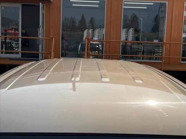 セレナ 20S 後期 禁煙 車検整備付 クルーズコントロール ディスプレイオーディオ バックカメラ オートライト 電格ミラー ドラレコ 横滑り防止 ミラーウィンカー ヘッドライトレベライザー シートリフター(49枚目)