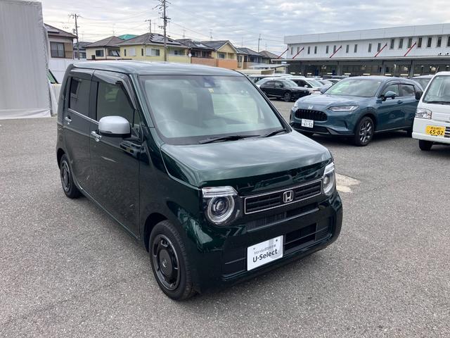 Ｎ－ＷＧＮ Ｌスタイル＋ビター（6枚目）