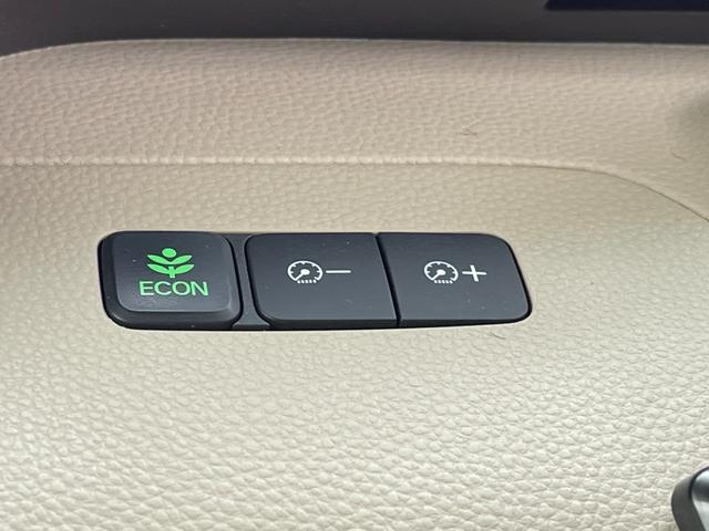 N-BOX G・Lホンダセンシング(21枚目)