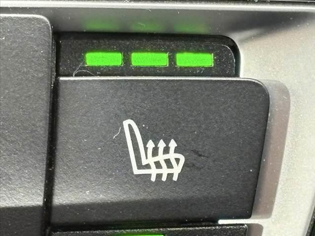 ４シリーズ ４２０ｉグランクーペ　Ｍスポーツ　禁煙車　中期　純正ナビ　サンルーフ　１９インチＡＷ　アダプティブＭサスペンション　Ｍスポーツブレーキ　ＬＥＤヘッドライト　ＬＥＤフォグ　Ｂモニ　フルセグ　ＢＴ　ドラレコ　ＥＴＣ　Ｐシート　電動Ｒゲート（31枚目）