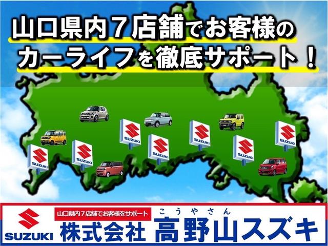 ２０Ｘ　純正ナビ・パワーバックドア・スマートキー２本・衝突軽減装置・アイドリングストップ・オートライト(24枚目)