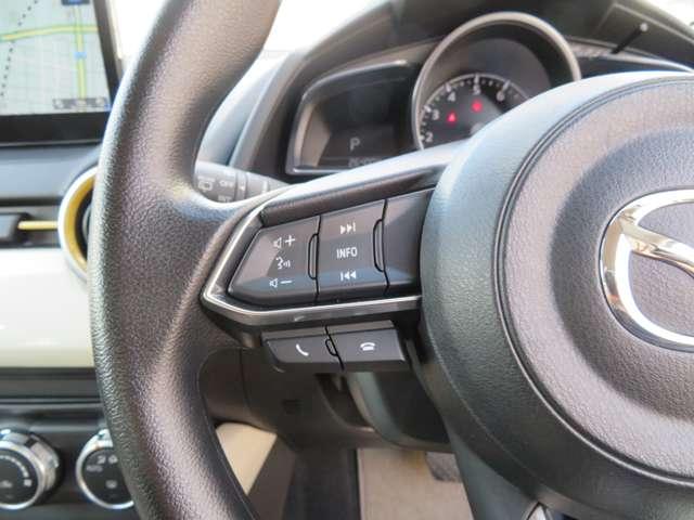 ＭＡＺＤＡ２ １５Ｓ　サンリットシトラス（11枚目）