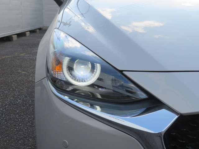 ＭＡＺＤＡ２ １５Ｓ　サンリットシトラス（18枚目）