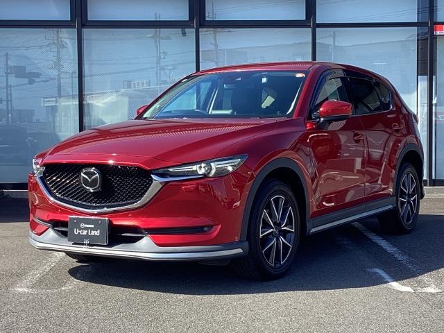 ＣＸ－５ ２．２　ＸＤ　Ｌパッケージ　ディーゼルターボ　４ＷＤ　マツダコネクトナビ　バックモニター　ＥＴＣ　ＢＯＳＥスピーカー　電動リアゲート　アダプティブクルーズコントロール　衝突被害軽減ブレーキ　アクセル踏み間違い防止装置　パワーバックゲート　レーダーＣ　本革（35枚目）