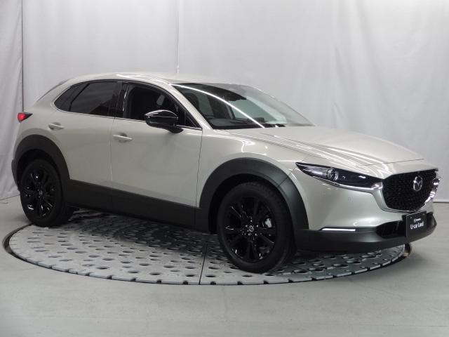 ＣＸ－３０ ２．０　２０Ｓ　ブラックトーンエディション　４ＷＤ　マツコネナビ　３６０°モニター　ＡＬＨ　ＥＴＣ　ＭＲＣＣ　ＳＢＳ　ＢＳＭ　レーンキープアシスト　カープレイ　パワーリヤゲート　シートヒーター　ステアリングヒーター　スマートキー　電動リアゲート　ＥＴＣ（40枚目）