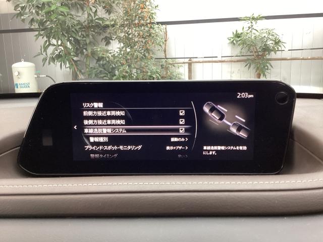 CX-30 20S Lパッケージ 4WD 6速マニュアル 4WD マツダコネクトナビ 360°モニター ワンオーナー 衝突被害軽減ブレーキ LEDヘッドランプ 前後ドライブレコーダー ETC車載機 スマートブレーキ 1オーナー 寒冷地仕様(15枚目)