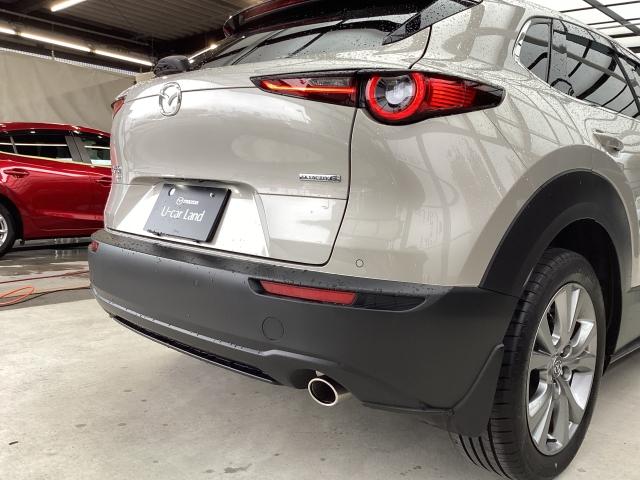 CX-30 20S Lパッケージ 4WD 6速マニュアル 4WD マツダコネクトナビ 360°モニター ワンオーナー 衝突被害軽減ブレーキ LEDヘッドランプ 前後ドライブレコーダー ETC車載機 スマートブレーキ 1オーナー 寒冷地仕様(28枚目)