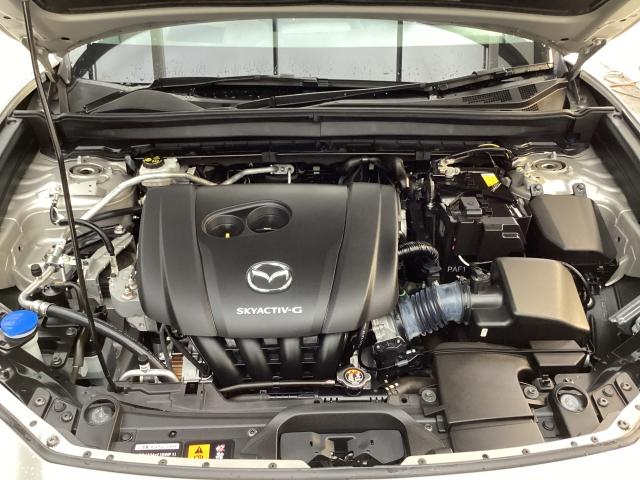 CX-30 20S Lパッケージ 4WD 6速マニュアル 4WD マツダコネクトナビ 360°モニター ワンオーナー 衝突被害軽減ブレーキ LEDヘッドランプ 前後ドライブレコーダー ETC車載機 スマートブレーキ 1オーナー 寒冷地仕様(30枚目)