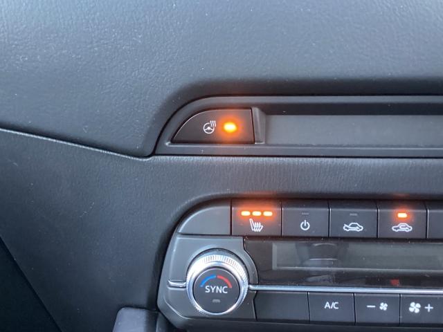 ＣＸ－５ ２．０　２０Ｓ　ブラックトーンエディション　２０Ｓブラックトーンエデイション　全周囲モニター　ＥＴＣ１．０車載機　電動リアゲート　アダプティブクルーズコントロール　衝突被害軽減ブレーキ　アクセル踏み間違い防止装置　車線逸脱警報システム　フルセグ（17枚目）