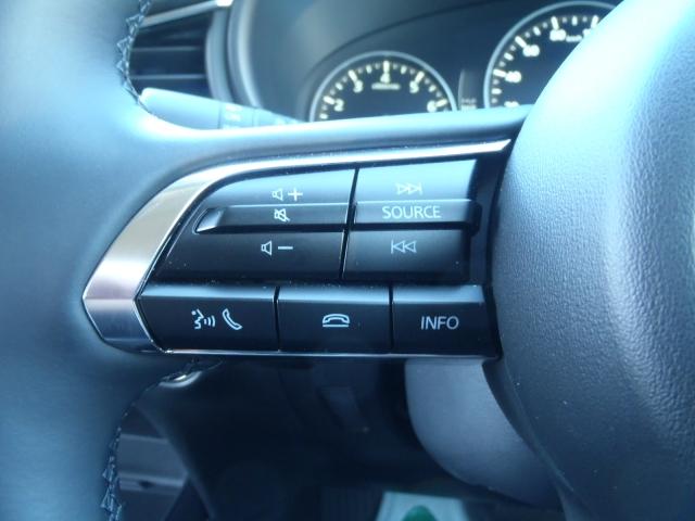 ＣＸ－３０ ２０Ｓ　ブラック　セレクション　現行モデル　当社試乗車　禁煙車　マツダコネクト　ＥＴＣ１．０車載機　衝突被害軽減ブレーキ　３６０°モニター　前後パーキングセンサー　パワーシート　ブルートゥース　パワーリフトゲート　フルセグＴＶ（18枚目）