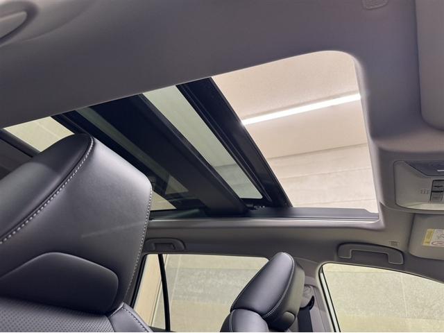 RAV4 ハイブリッドG 試乗車 全周囲モニター 合成皮革シート シートヒーター&ベンチレーション AC100V/1500Wコンセント ETC2.0 ディスプレイオーディオ ナビ フルセグTV サンルーフ 整備記録簿(30枚目)