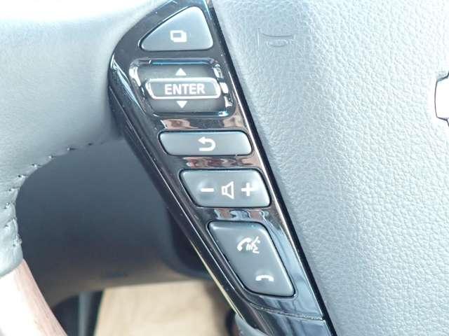 エルグランド 250ハイウェイスターS アーバンクロム 後席モニター アラウンドビューM 記録簿付 両電動ドア ドライブレコーダ 1オナ サイドカメラ インテリキー パワーウインドウ LEDライト メモリーナビ セキュリティ Bカメラ クルコン カーテンエアバック AW(13枚目)