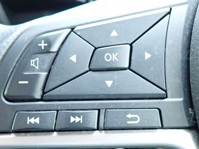 セレナ 2.0 ハイウェイスター VセレクションII エマブレ 両オートスライドドア バックモニタ 全周囲モニタ アイスト 寒冷地 Pアシスト インテリキー LEDライト ETC車載器 オートクルーズコントロール サイドエアバッグ 記録簿 ドライブレコーダー メモリ-ナビ 禁煙 アルミ(11枚目)