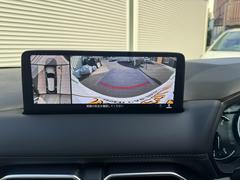 ܥǥƥ󥰤ʤɤ⾵ޤΤǤ䤤碌 7