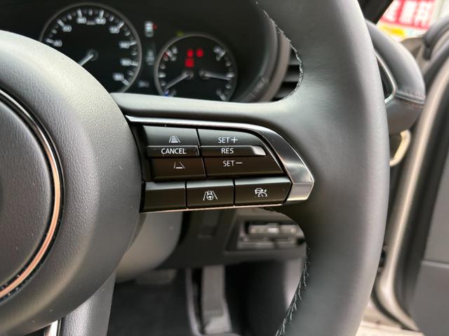 ＭＡＺＤＡ３ファストバック ２０Ｓ　ツーリング　ドライブレコーダー　ＥＴＣ　全周囲カメラ　ナビ　ＴＶ　クリアランスソナー　オートクルーズコントロール　レーンアシスト　衝突被害軽減システム　アルミホイール　オートライト　ＬＥＤヘッドランプ（46枚目）