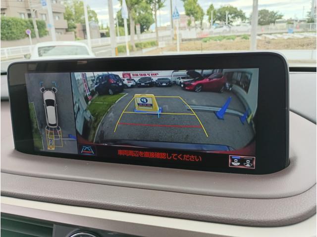 ＲＸ ＲＸ３００　バージョンＬ　全周囲カメラ　クリアランスソナー　オートクルーズコントロール　レーンアシスト　パワーシート　衝突被害軽減システム　サンルーフ　ナビ　オートマチックハイビーム　ＬＥＤヘッドランプ　電動リアゲート（4枚目）