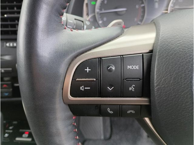 ＲＸ ＲＸ３００　バージョンＬ　全周囲カメラ　クリアランスソナー　オートクルーズコントロール　レーンアシスト　パワーシート　衝突被害軽減システム　サンルーフ　ナビ　オートマチックハイビーム　ＬＥＤヘッドランプ　電動リアゲート（9枚目）