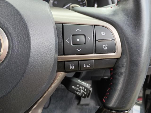 ＲＸ ＲＸ３００　バージョンＬ　全周囲カメラ　クリアランスソナー　オートクルーズコントロール　レーンアシスト　パワーシート　衝突被害軽減システム　サンルーフ　ナビ　オートマチックハイビーム　ＬＥＤヘッドランプ　電動リアゲート（10枚目）