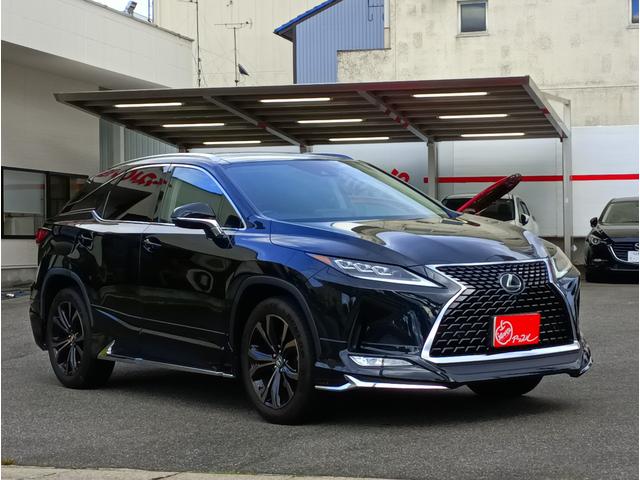 ＲＸ ＲＸ３００　バージョンＬ　全周囲カメラ　クリアランスソナー　オートクルーズコントロール　レーンアシスト　パワーシート　衝突被害軽減システム　サンルーフ　ナビ　オートマチックハイビーム　ＬＥＤヘッドランプ　電動リアゲート（14枚目）