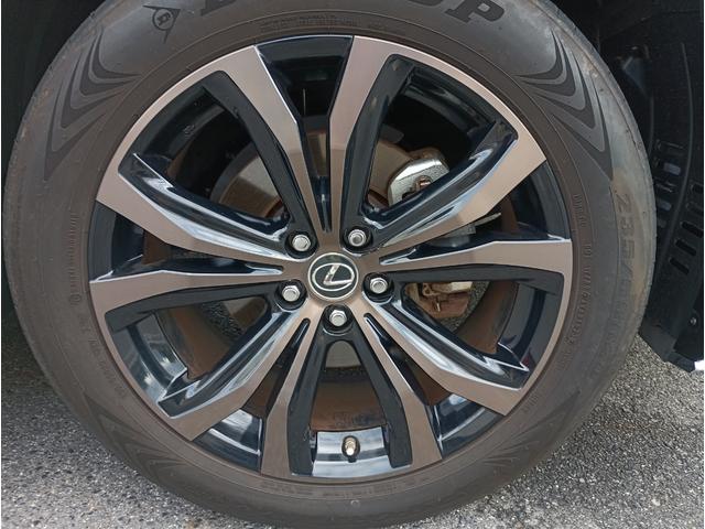 ＲＸ ＲＸ３００　バージョンＬ　全周囲カメラ　クリアランスソナー　オートクルーズコントロール　レーンアシスト　パワーシート　衝突被害軽減システム　サンルーフ　ナビ　オートマチックハイビーム　ＬＥＤヘッドランプ　電動リアゲート（19枚目）