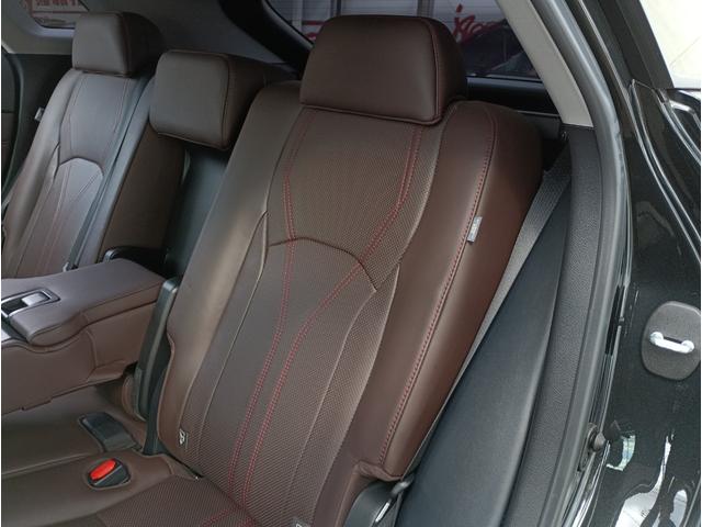 ＲＸ ＲＸ３００　バージョンＬ　全周囲カメラ　クリアランスソナー　オートクルーズコントロール　レーンアシスト　パワーシート　衝突被害軽減システム　サンルーフ　ナビ　オートマチックハイビーム　ＬＥＤヘッドランプ　電動リアゲート（34枚目）