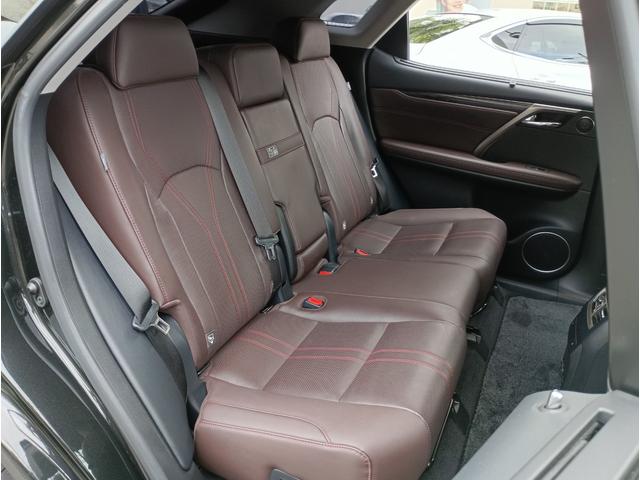 ＲＸ ＲＸ３００　バージョンＬ　全周囲カメラ　クリアランスソナー　オートクルーズコントロール　レーンアシスト　パワーシート　衝突被害軽減システム　サンルーフ　ナビ　オートマチックハイビーム　ＬＥＤヘッドランプ　電動リアゲート（36枚目）