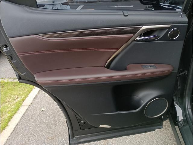 ＲＸ ＲＸ３００　バージョンＬ　全周囲カメラ　クリアランスソナー　オートクルーズコントロール　レーンアシスト　パワーシート　衝突被害軽減システム　サンルーフ　ナビ　オートマチックハイビーム　ＬＥＤヘッドランプ　電動リアゲート（42枚目）