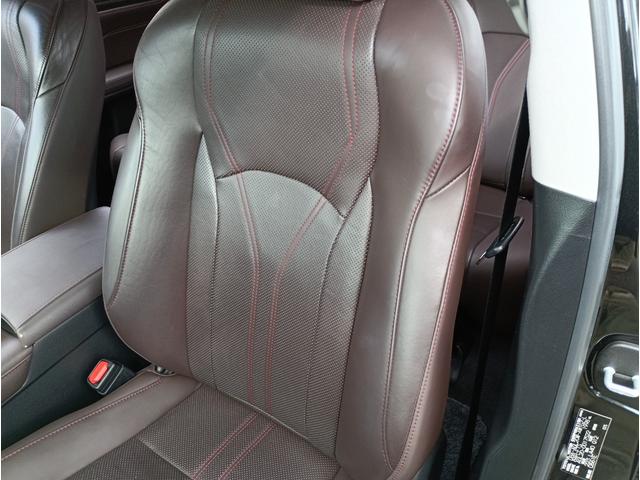 ＲＸ ＲＸ３００　バージョンＬ　全周囲カメラ　クリアランスソナー　オートクルーズコントロール　レーンアシスト　パワーシート　衝突被害軽減システム　サンルーフ　ナビ　オートマチックハイビーム　ＬＥＤヘッドランプ　電動リアゲート（47枚目）
