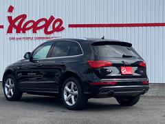 ѣ ԣƣӣɥȥӥ饤ѥå᡼ʥӡե륻ԣ֡ر 2504595A30250830W006 5