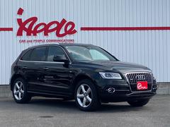 ѣ ԣƣӣɥȥӥ饤ѥå᡼ʥӡե륻ԣ֡ر 2504595A30250830W006 6