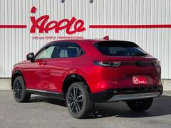  塧ȣţ֡ڡ᡼ݾդʡر 2504595A30251017W001 3