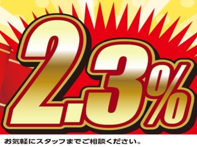 キャスト スタイルＸ　ＳＡＩＩＩ　社外７インチＳＤナビ／ワンセグＴＶ／Ｂカメラ／ブレーキサポート／レーンキーピング／ＥＴＣ／リアコーナーセンサー／オートライト／ドライブレコーダー／プッシュスタート（60枚目）