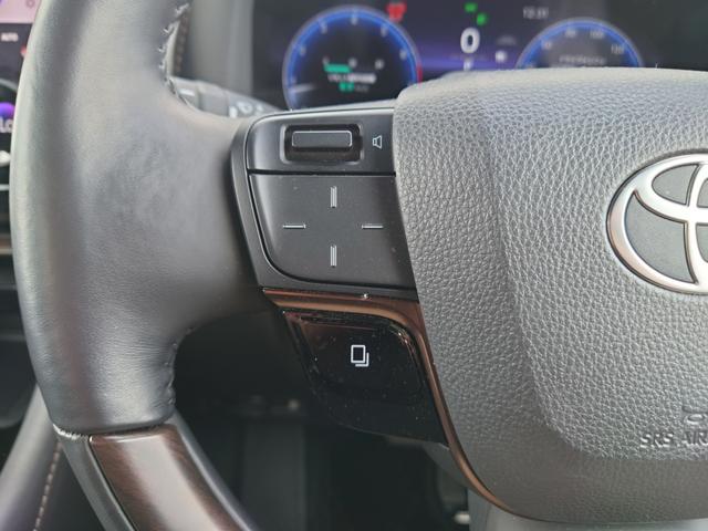 アルファード Z 純正14インチメモリーナビ/フルセグTV/パノラミックビュー/左右独立ムーンルーフ/デジタルインナーミラー/トヨタチームメイト/スペアタイヤ/ヘッドアップディスプレイ/パワーバックドア/前後ドラレコ(47枚目)