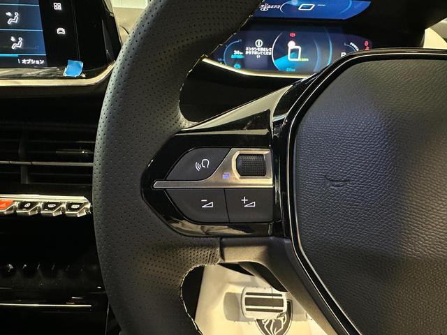 ｅ－２０８ ＧＴ　電気自動車　元試乗車（13枚目）