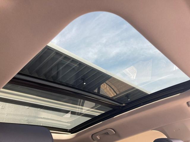 C5エアクロス シャインパック プラグインハイブリッド(14枚目)