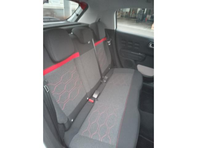 C3 シャイン(6枚目)