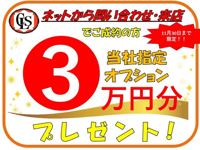 a モデューロバンパー モデューロAW リアスポ(4枚目)