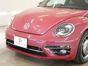 VOLKSWAGEN THE BEETLE