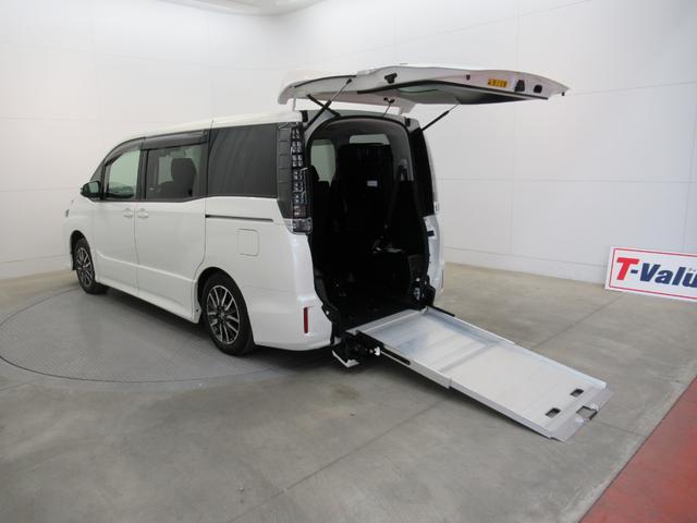ZS車いす仕様スロープタイプタイプ2(11枚目)
